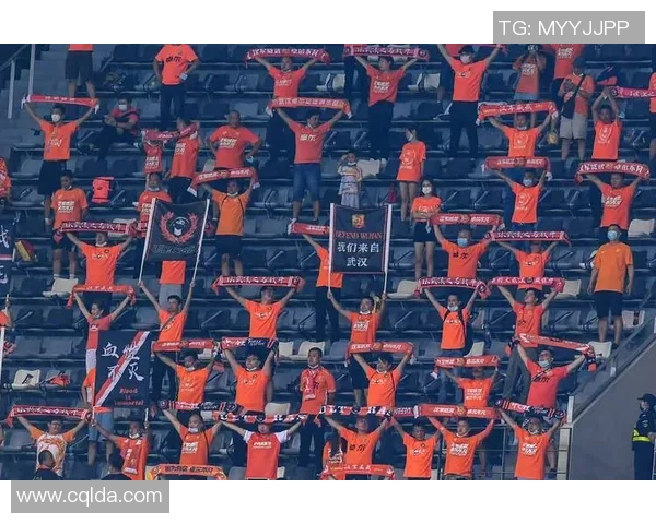 武汉排球队灵活性引发热议球迷与专家观点碰撞激烈